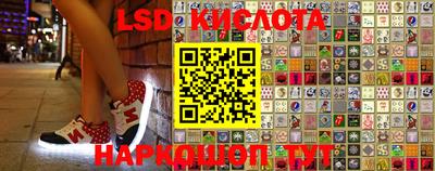 ПСИЛОЦИБИНОВЫЕ ГРИБЫ Канаш